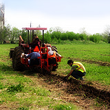 Louisville tree farm